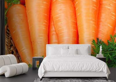 Fresh carrots bunch with leaves Wall mural