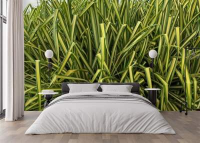 green grass tropical foliage  Wall mural