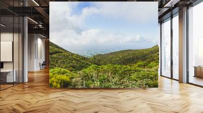 Natural view of a hill in Egmont-National park, New Zealand Wall mural