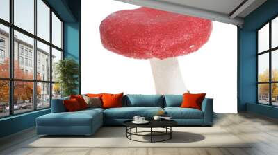 Mushroom isolated Wall mural