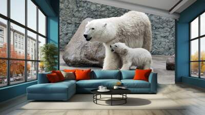 White polar bears Wall mural