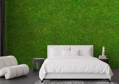 green grass texture - well-groomed turf in the garden Wall mural