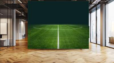 textured soccer game field - center, midfield Wall mural