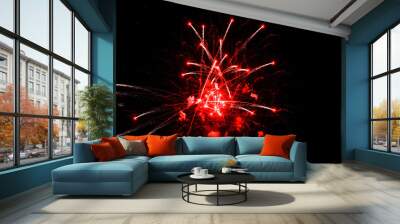 Colorful fireworks in the sky on black background. Celebratory salute, fireworks Wall mural