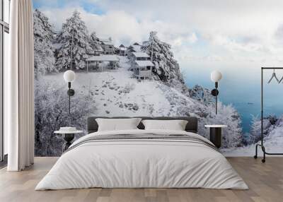 Crimean snowy forest in the mountains Wall mural