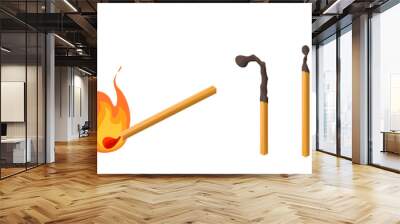 Matches set. Burning match with fire, match charcoal. Lights. Vector illustration cartoon style isolated on white background. Wall mural