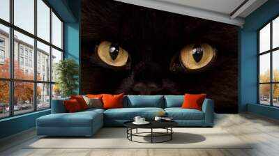 black cat Wall mural