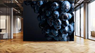 Wet dark blue grapes on a black background. Wall mural