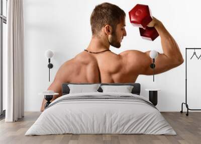 Young bodybuilder with dumbbells on white background . Wall mural