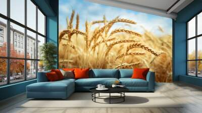 Golden cornfield in sunny day Wall mural