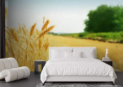 grain field Wall mural