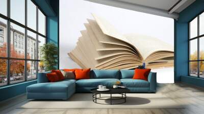 book Wall mural