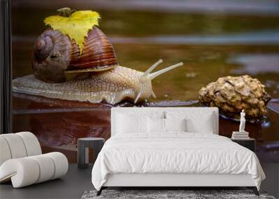 Grape snail Wall mural