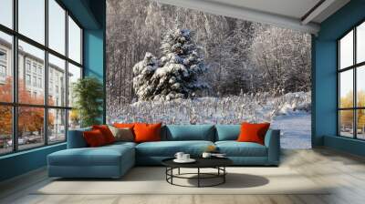 Winter landscape - two Christmas trees covered with snow on a forest background Wall mural