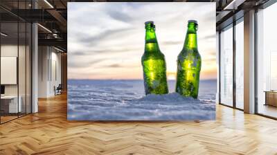 Bottle of Cold Beer Wall mural