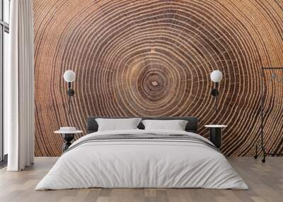 texture of cork tree Wall mural