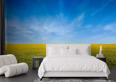 Aerial view of wide field of yellow blooming sunflowers and blue sky with light white clouds in Ukraine Wall mural