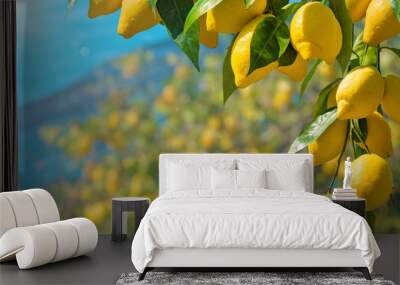 Beautiful lemon garden, bunches of fresh yellow ripe lemons with green leaves Wall mural