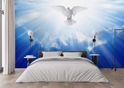 Holy spirit dove Wall mural