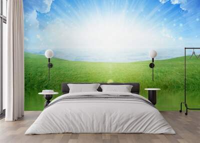 Light from heaven, bright sunlight with reflection in water, green grass on meadow Wall mural