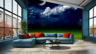 Night, green field Wall mural