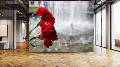 two red carnations on the background of the fountain Wall mural