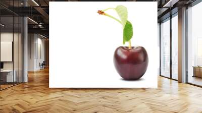 Red ripe sweet cherry fruit whole with green leaf closed up isolated on white Wall mural