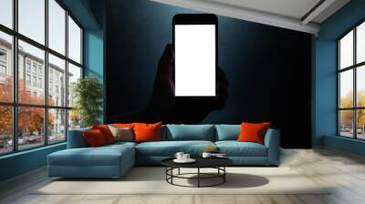 silhouette hand holding a mobile phone with blank wihte screen in the dark darkness against dark blue background Wall mural