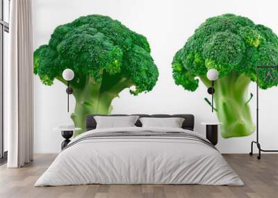 Set of broccoli, isolated on transparent background. PNG element Wall mural