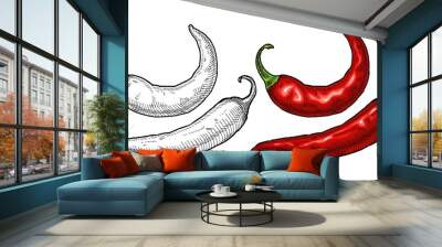 Whole pepper chilli. Vintage hatching color illustration. Wall mural