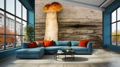 Freshly picked porcini mushroom on a rustic wooden table. Top view Wall mural