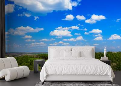 Green forest and fields under the blue sky. Summer landscape Wall mural