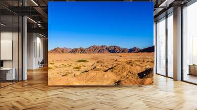 View of the mountains at Sinai peninsula in Egypt Wall mural