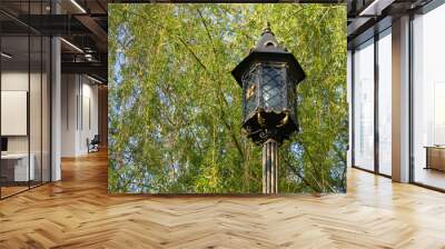 Close-up forged lantern on a spring day in parkland. Iron street lamp from black metal with artfulling figured details. Beautiful streetlight against a blue sky and green trees. Steel lamppost. Wall mural