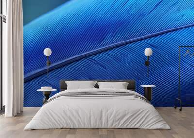 Closeup up of blue feather abstract background. Wall mural