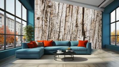 Weathered hardwood textured background Wall mural