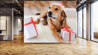 Adorable dog with gifts celebrating Christmas at home. Wall mural