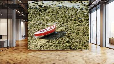 lonely boat aground Wall mural