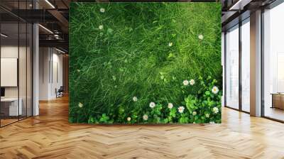 top view of grass field with daisies, green background, vibrant, high resolution, clear edges Wall mural