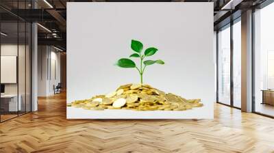 Green Sprout Growing from a Pile of Gold Coins Wall mural