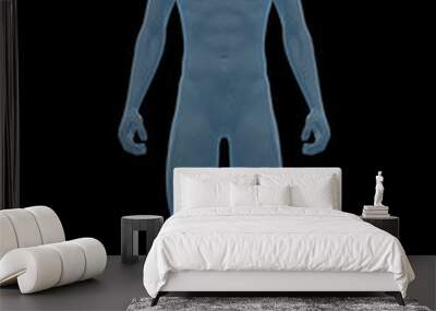 Human Body, Male, Man Wall mural