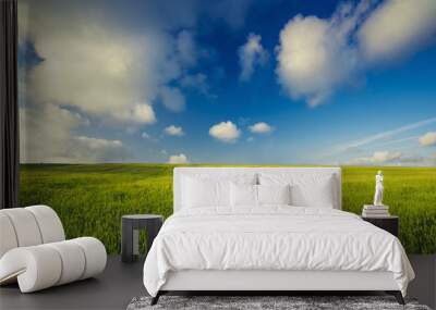 Beautiful green landscape Wall mural