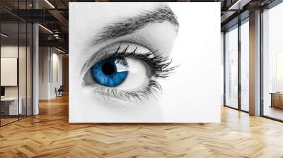 blue eye Wall mural