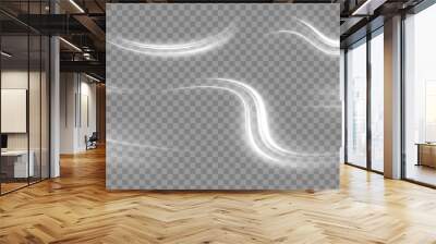 A large set of low-poly designs made of thin lines in the form of branches, spirals and arcs. Luminous white lines of speed. Twist white line. Wall mural