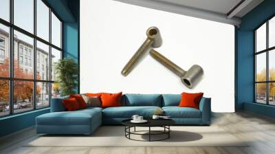 Metal bolts - fasteners on white background Wall mural