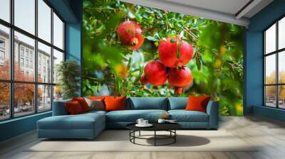 pomegranate fruit on the tree Wall mural