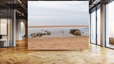 Sandy beach of  Baltic sea covered with big stones on cloudy spring morning. Two birds in flight over the horizon Wall mural