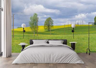 Spring landscape with old wooden electricity poles on green and yellow blooming fields and hills  Wall mural