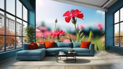 A lychnis flower blooming amidst a vibrant summer meadow scene with ample copy space image Wall mural