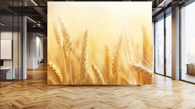 A wheat field under the afternoon sun featuring an abstract agricultural background with no visible sky or surroundings ideal for copy space image Wall mural